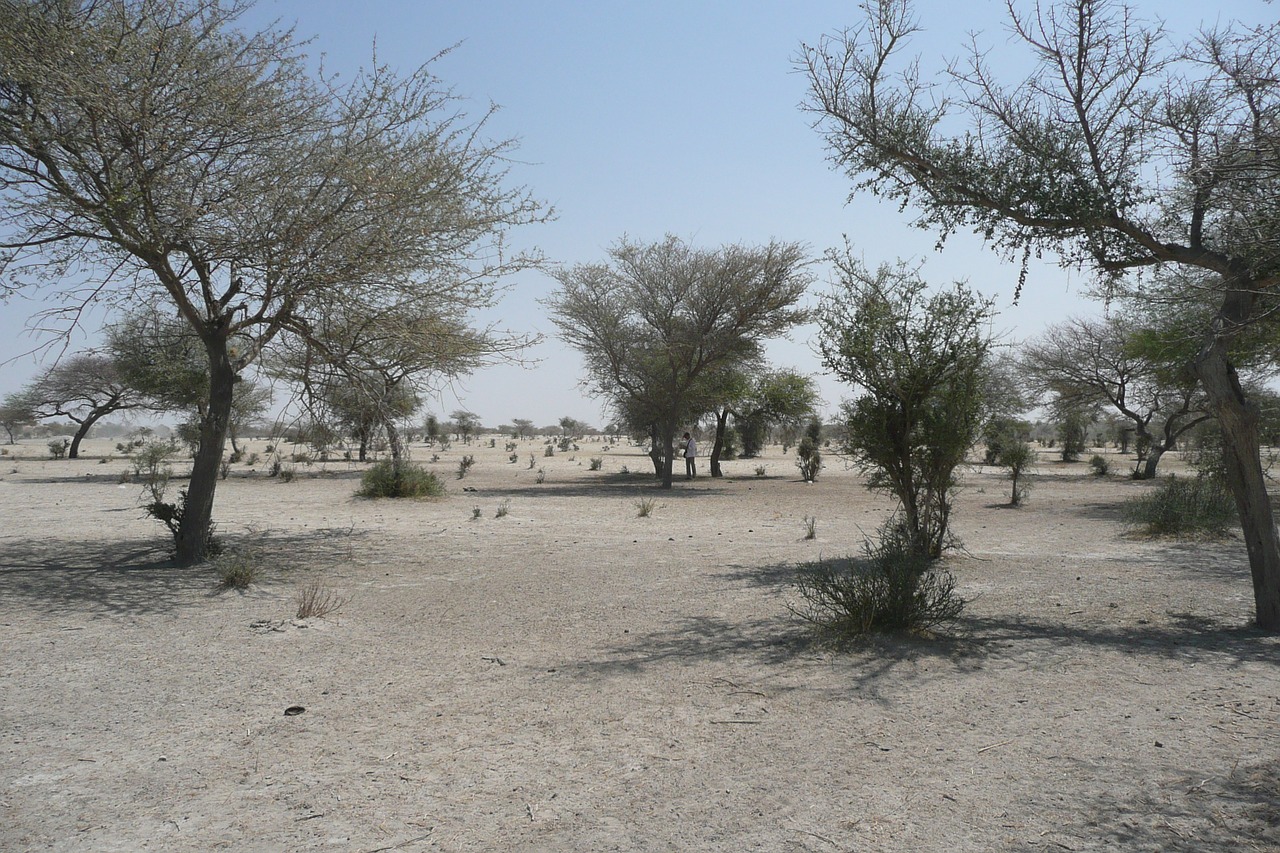Renforcement de la présence occidentale au Sahel