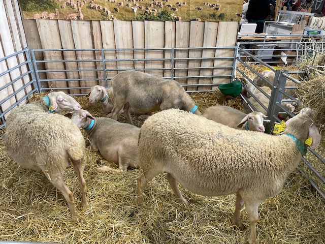 Salon de l’agriculture 